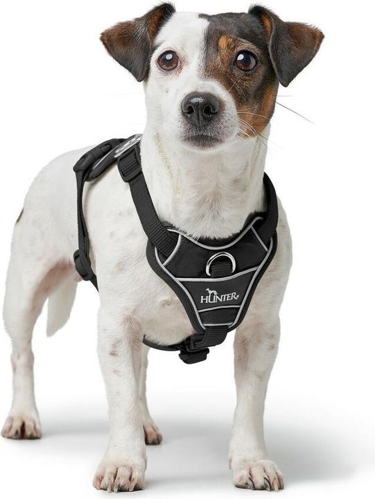 Immagine prodotto Hunter Divo Up (L, Cane, Generale)