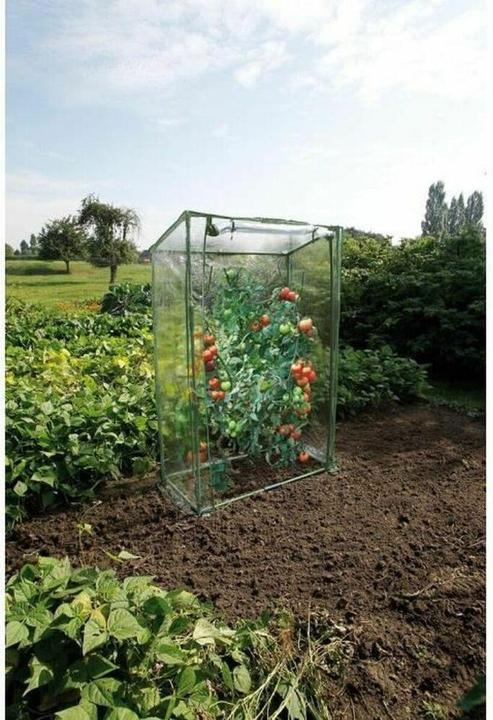 Actual product image Nature Gewächshaus