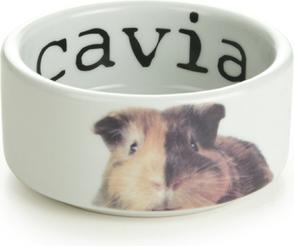 Actual product image Beeztees Bz Ceramic Bowl Snapshot Sea Sc (0.20 l)