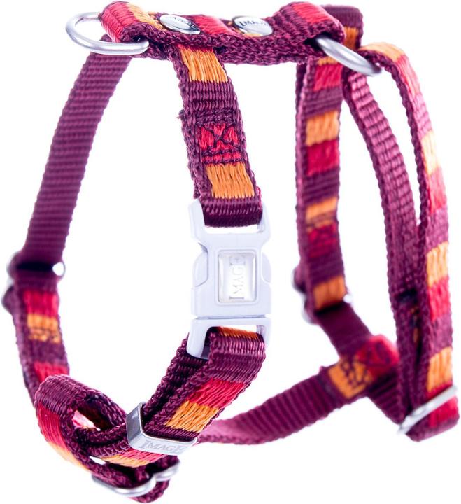 Produktbild Image Dream (L, Hund, Spazieren)
