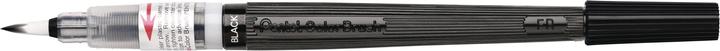 Pentel pennello di colore (Nero, 1 x)