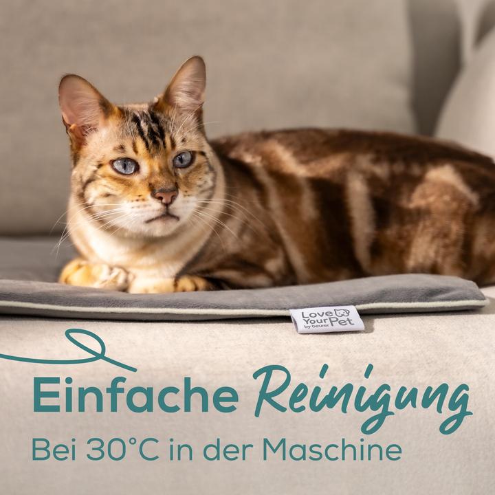 Actual product image Beurer PP 220 (Dog, Cat)