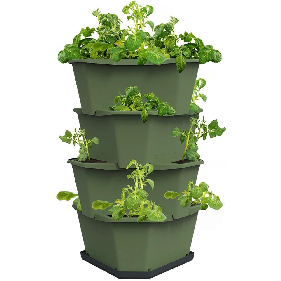 Gusta Garden, Blumentopf, Aufzuchttöpfe PAUL POTATO Starter, 4 Etagen, Dunkelgrün (38.80 cm)