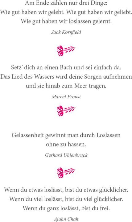 Produktbild Infodienste GmbH:Lass (Deutsch, Auerbach Verlag und Infodienste, 1. Edition (16. April 2024), 2024)