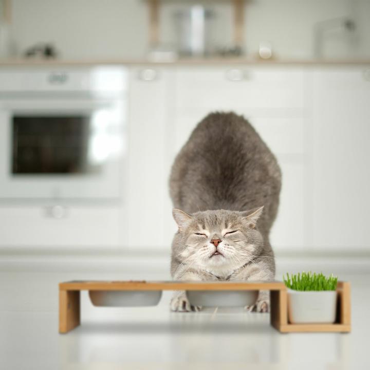 Produktbild Relaxdays Affen-Wanduhr (29.50 cm)