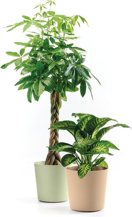 Produktbild Euro3plast Blumentopf Fyre Ø 25 cm dune Greener