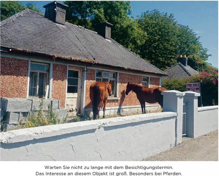 Produktbild Maklerfotos aus der Hölle (Deutsch, Andy Donaldson, 2015)
