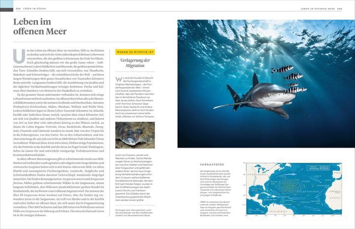 Image du produit National Geographic Das grosse Buch der Ozeane (Allemand, Sylvia Earle, 2024)