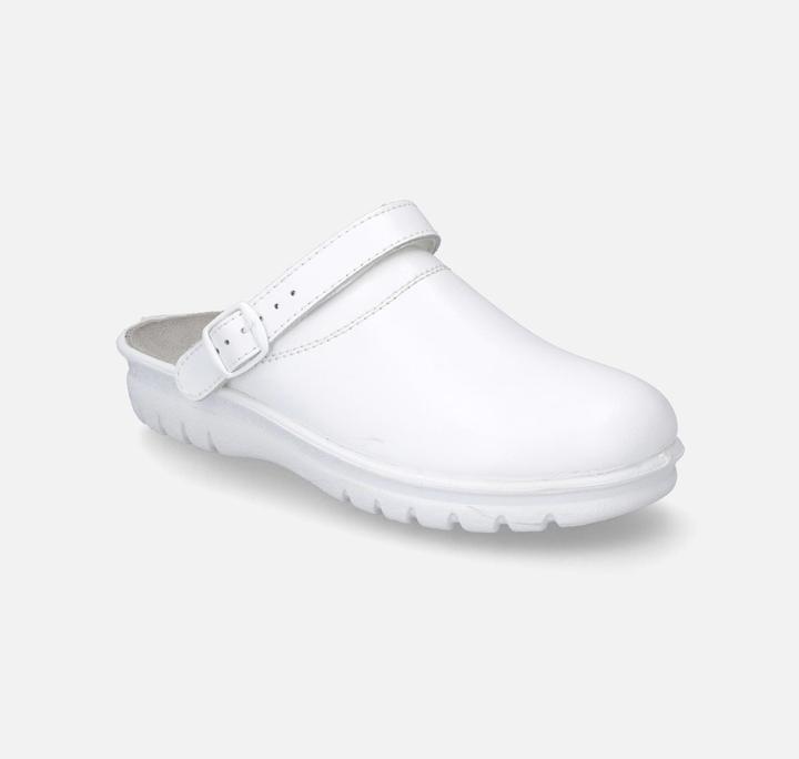 Actual product image Westland 31311-95 (39)