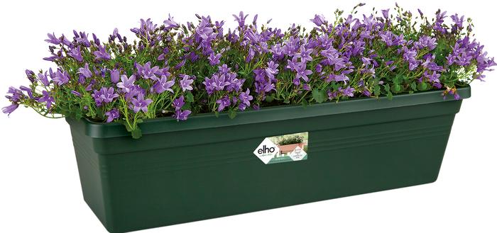 Produktbild Elho Balkonkasten Green Basics L 80 cm Kunststoff grün