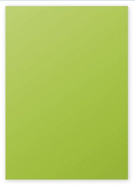 Produktbild Clairefontaine Kopierpapier Trophee A4 160g/qm VE=50 Blatt minze/maigrün (160 g/m², 50 x, A4)