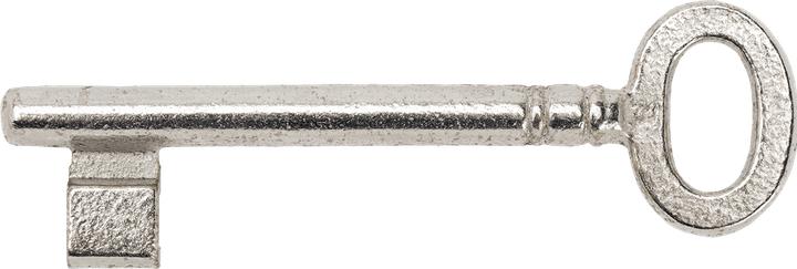 Actual product image Schänis Digit key