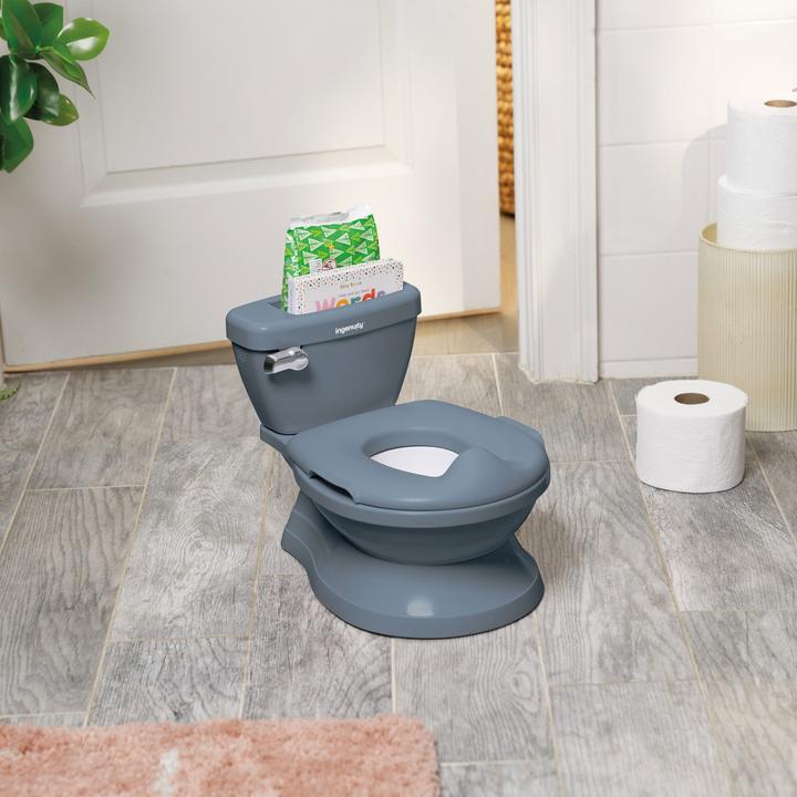 Actual product image Ingenuity Töpfchen Grau