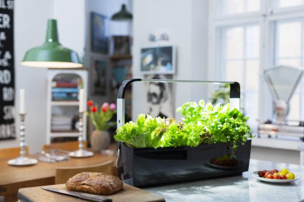 Produktbild Tregren Kräutertopf T12 Schwarz (64.50 cm)