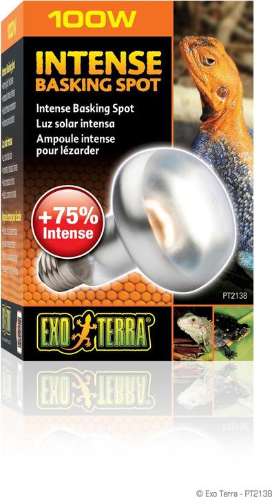Image du produit Exo Terra Sun Glo Heat Spot Lamp TB 100W (UVA)
