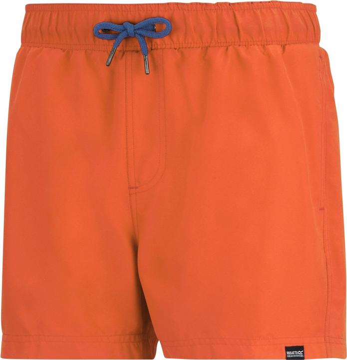 Produktbild Regatta Mawson II Kurze Hose (M)