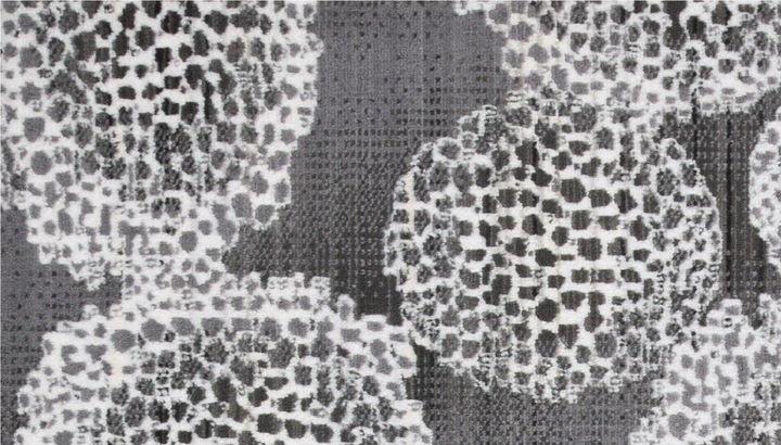 Actual product image Domoletti CARPET CARTER 461-D OG5 1.6X2.35