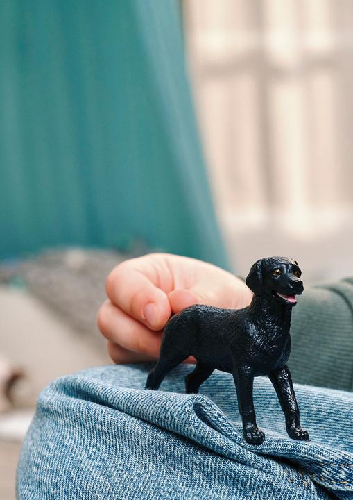 Immagine prodotto Schleich Schwarzer Labrador Retriever Welpe