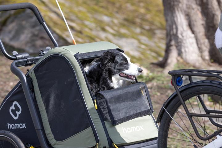 Image du produit hamax Pluto