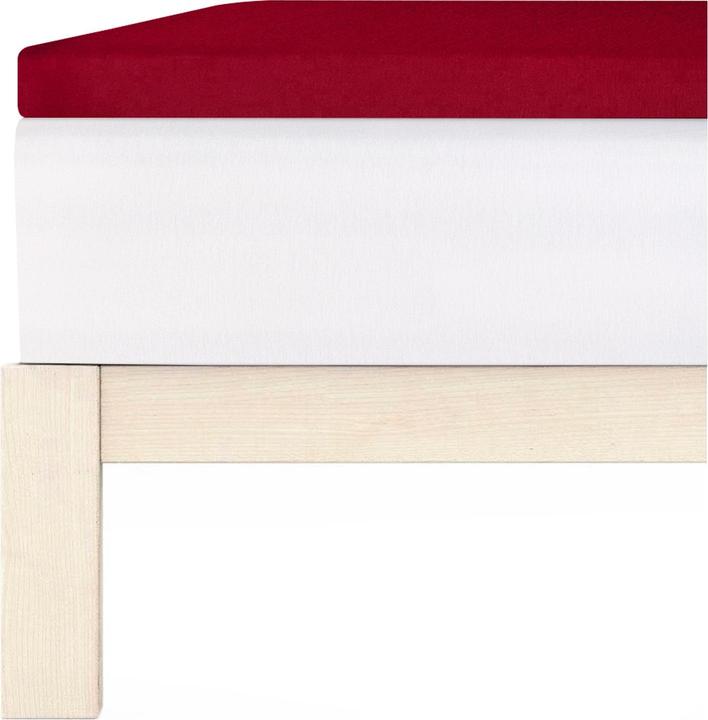 Actual product image Living Home Topper Elastic Jersey (140-160 x 200 cm)