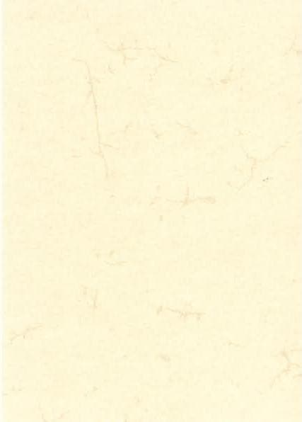 Produktbild Rnk Verlag Motivpapier Elefantenhaut chamois DIN A3 190 g/qm 10 Blatt (190 g/m², 10 x, A3)