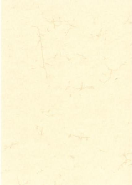 Actual product image Rnk Publisher motif paper elephant skin chamois DIN A3 190 g/sqm 10 sheets (190 g/m², 10 x, A3)