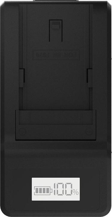 Actual product image Newell Quick charger for NP-F and NP-FM (Camera battery charger)