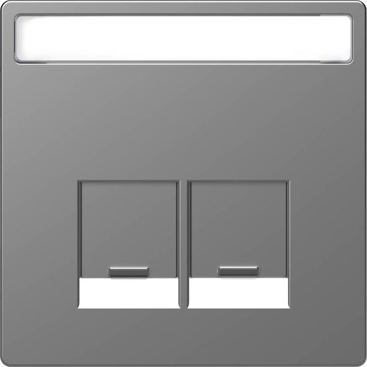 Actual product image Merten Central plate USB 2f System Design edst MEG4574-6036