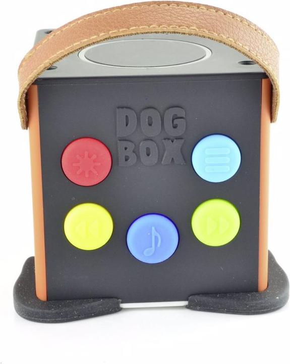 Actual product image X4 Bobby Joey DogBox