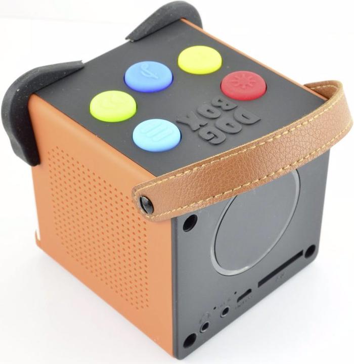 Actual product image X4 Bobby Joey DogBox