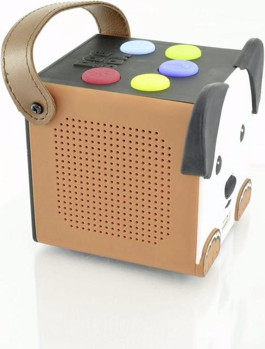 Actual product image X4 Bobby Joey DogBox