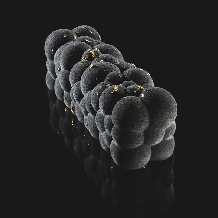 Produktbild Pavoni Bûche de Noël Silikonform "Atomic"