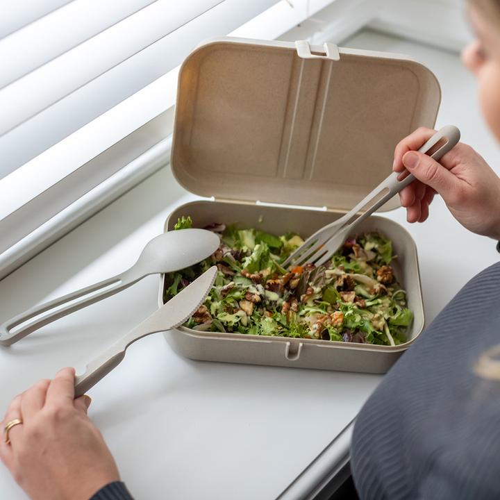 Actual product image Koziol Lunchbox Pascal L Green