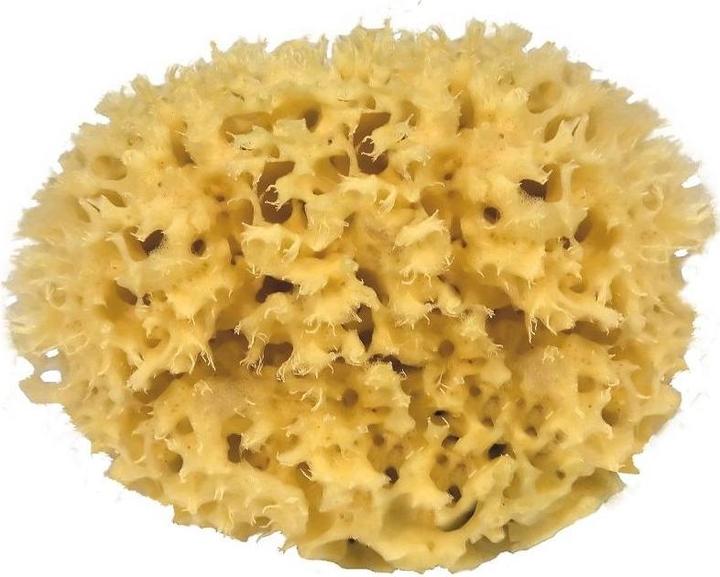 Immagine prodotto Body Vital Spugna naturale