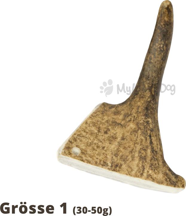Actual product image Larrson Farm Elk antlers ELK-Schäufle chewing article- 1 piece (1 pcs., 56 g)