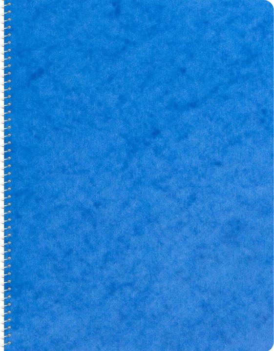 Produktbild Novooo Spiralheft assortiert (A5, Kariert, Weicher Einband)