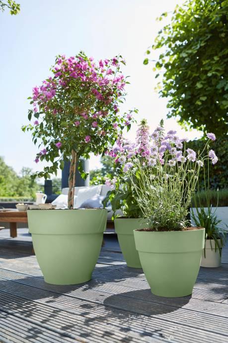 Produktbild Elho Vibia Campana Rund (47 x 40 cm)