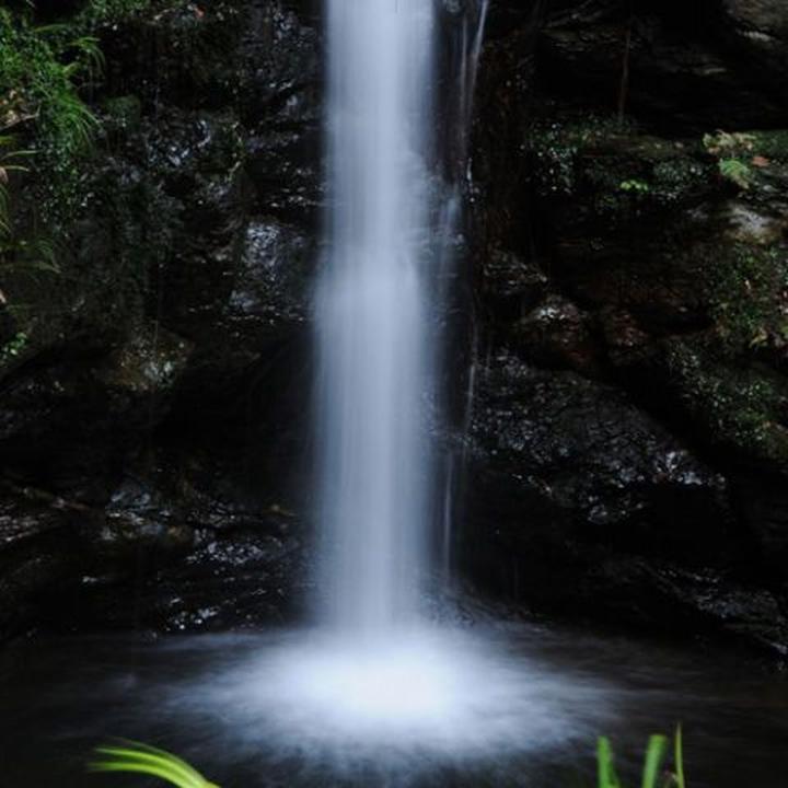 Produktbild Marumi ND8-Serie DHG (72 mm, ND- / Graufilter)