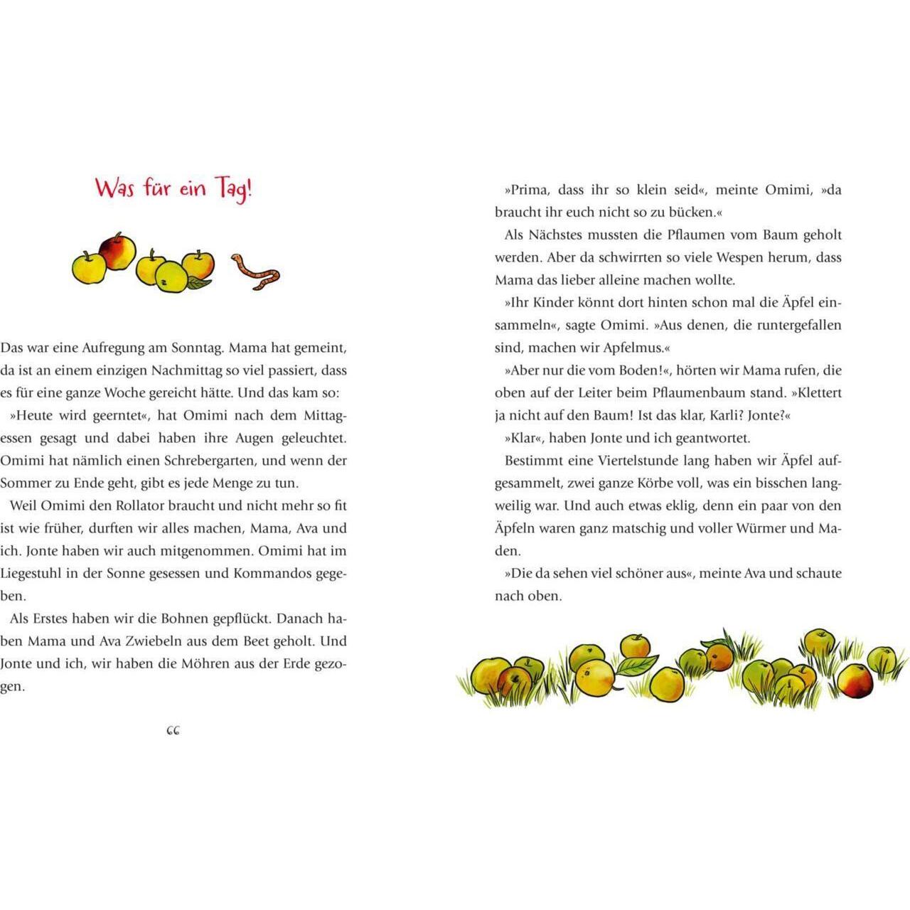 Thumbnail - Die Ringelsocken-Strolche: Freundschaftsgeschichten zum Vorlesen ab 5 Jahren, Kinderbücher von Cornelia Franz
