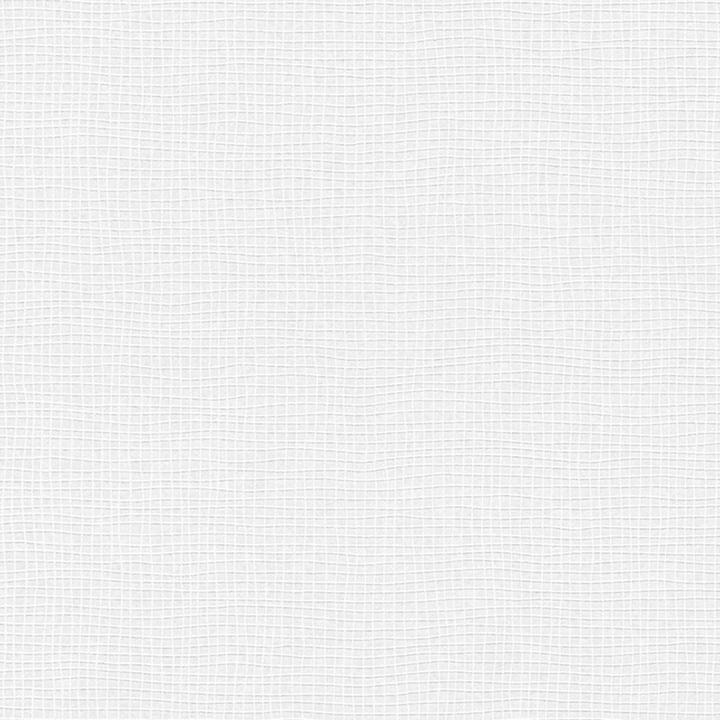 Immagine prodotto Architects Paper Pigmento ECO Bianco, verniciabile 3 (53 x 1005 cm)