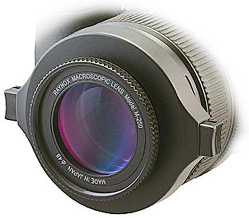 Raynox DCR-250, Makro / Nahbereichs Vorsatzobjektiv (Makro-Zwischenring, Universell)