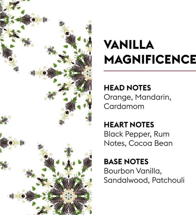 Actual product image Maison Berger Refill Splendeur Vanillée 500 ml (500 ml)