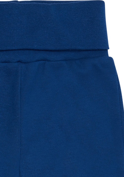 Actual product image loud + proud Trousers (110)