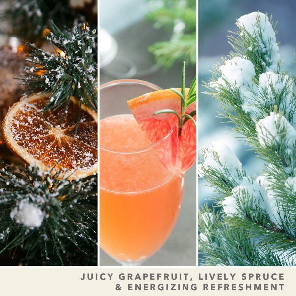 Image du produit Yankee Candle Bougie parfumée White Spruce & Grapefruit Signature Large Tumbler