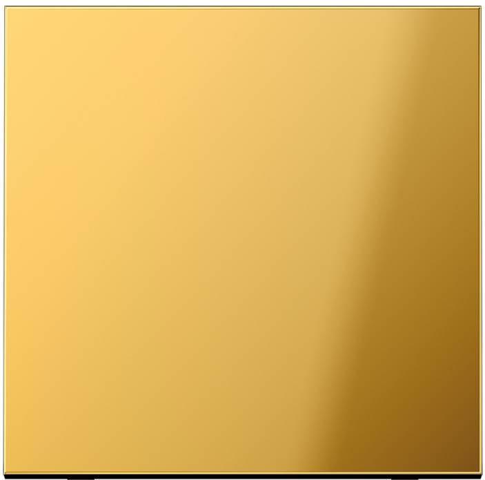 Actual product image JUNG Rocker switch LS go glz GO2990