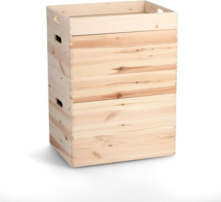 Actual product image Zeller Present All-purpose box (40 x 30 x 24 cm, 29 l)