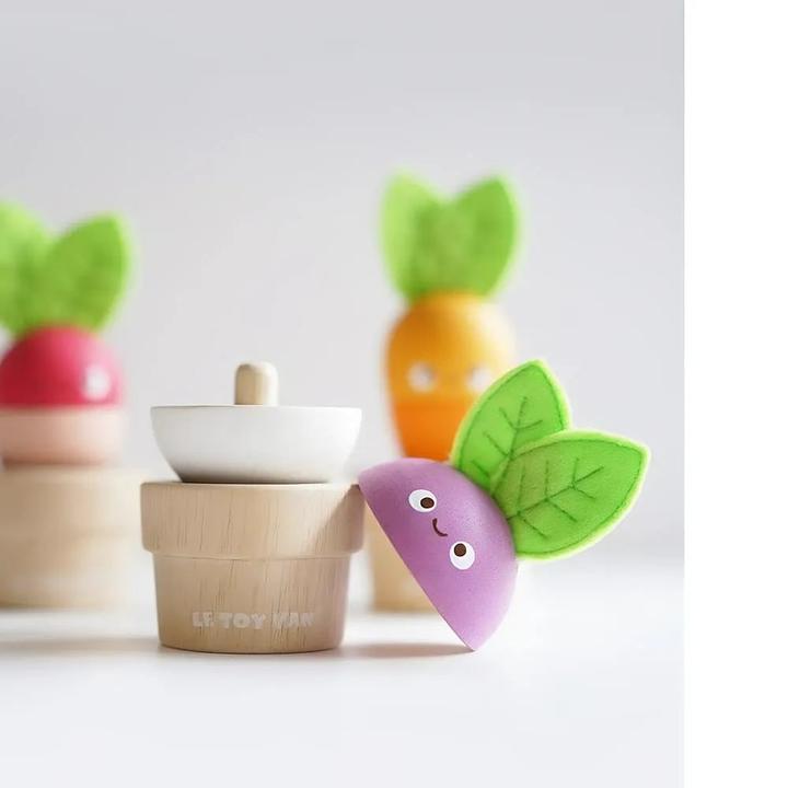 Actual product image Le Toy Van Vegetables