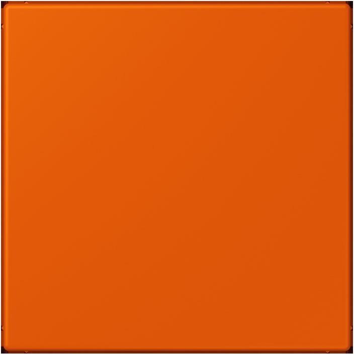 Produktbild JUNG Blindabdeckung