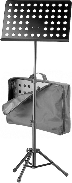 Actual product image Ruka Orchestra Music Stand