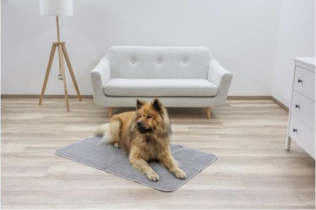 Produktbild Kerbl Thermoteppich (Hund)